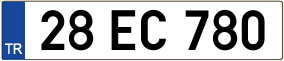 Truck License Plate